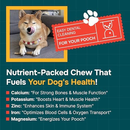 100% Natural - Elk Antlers for Dogs - Naturally Shed in USA - Dog Antler Chews for Medium Breeds - Natural, Long-Lasting Treats for Aggressive Chewers - Dog Chews - No Smell & No Mess - Medium - Image 2
