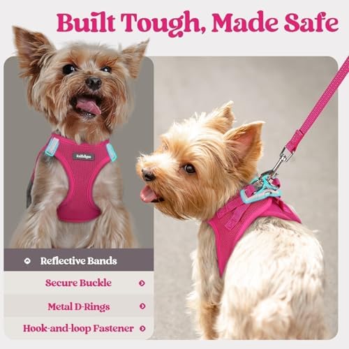 rabbitgoo Dog Harness Medium Sized and Leash Set, Step-in Puppy Pet Vest - Image 5