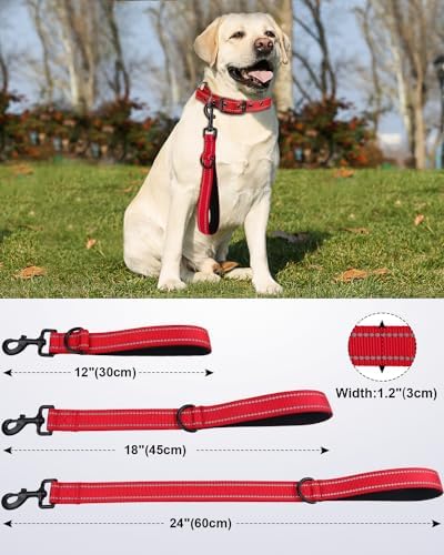 Joytale Short Dog Leash for Close Control & Training, 24", Red - Image 2