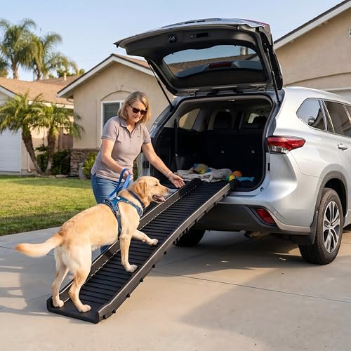 PawStep 61" Folding Pet Ramp, Portable Dog Ramp for Cars, SUVs, Beds & Couches, Lightweight PP Construction, Textured Surface, Optional Carpet for Added Traction, 165 lb Capacity (50524) by Pawstep