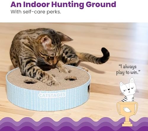 Catstages Scratch N' Hunt Interactive Cat Puzzle Toy with Scratcher, 11" - Image 2