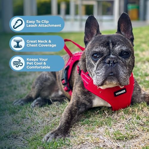 Voyager Step-in Flex Adjustable Dog Harness - Red, X-Large - Image 5