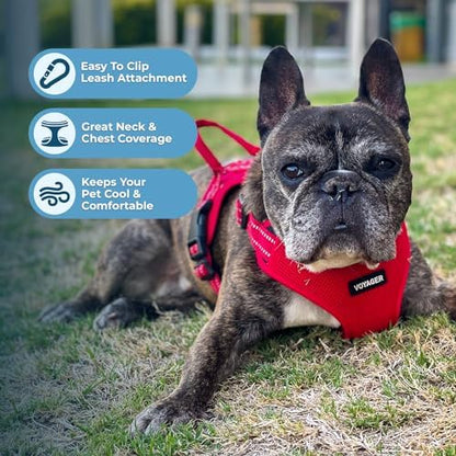Voyager Step-in Flex Adjustable Dog Harness - Red, X-Large - Image 5
