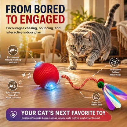 Interactive Cat Toy Ball, Automatic Cat Toy with Bird Chirping Sound, 3 Play Modes & 2 Tails,Rechargeable Smart Moving Pet Toy,Speedy Tail 2.0 Cat Toy,Cat Toys Interactive for Indoor Cats & Small Dogs - Image 3