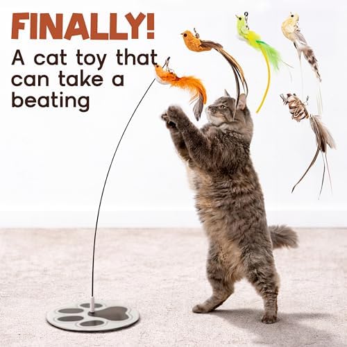 Bird Toy for Cats - 5 Pack Natural Feathers Stable Round Base - Interactive Wand Teaser - Self Play Hunting Enrichment - Bored Indoor Adult Feline Activity - Stimulating Kitten Juguetes para Gatos - Image 2