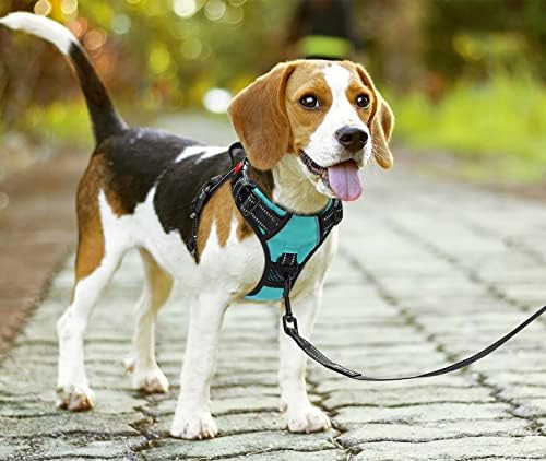 PoyPet No Pull Dog Harness Medium with Front Clip & Neck Release Buckle - Image 2