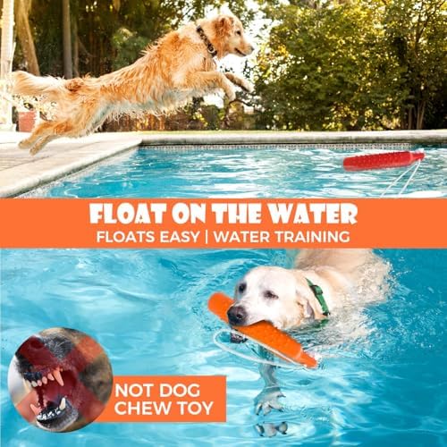 BINGPET Dog Float Bumper Toy 2 Pack,10.8" Lightweight Bumper for Water Fetch Outdoor,Floating Dog Water Toys for Medium Large Dogs,Fetch Rope Pet Toy Dock Diving Retrieving Dummy for Pool/Beach/Lake - Image 2