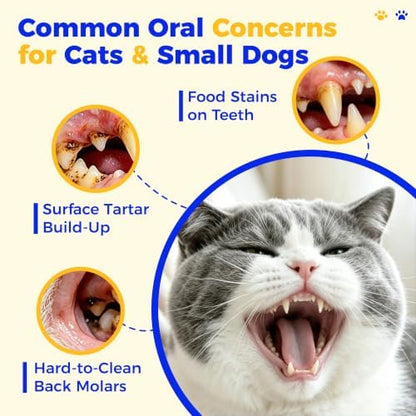 TPR Finger Toothbrush, Silicone Pet Tartar Brush for Small Medium Dog & Cat - Image 2