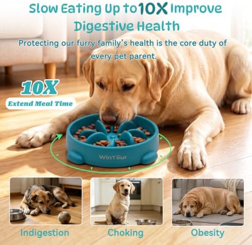 WinTour Slow Feeder Dog Bowls for Small Medium Pets, Round PP Dish, 1 Pack - Image 2