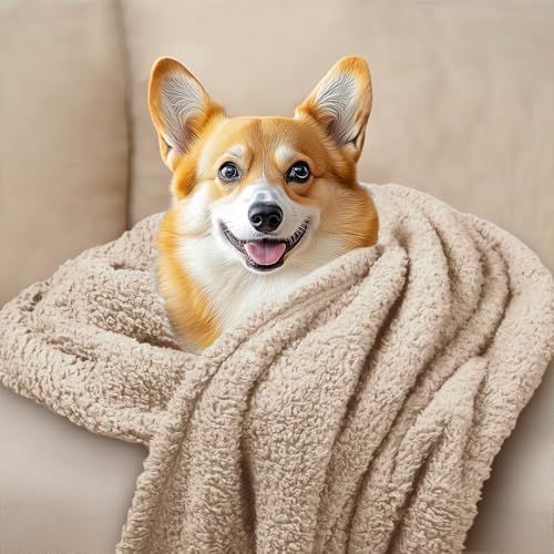 3 Pack 3 Calming Blankets Fluffy Premium Fleece Pet Blanket Soft Sherpa Throw for Dog Puppy Cat Beige Small (23" x16'') - Image 6