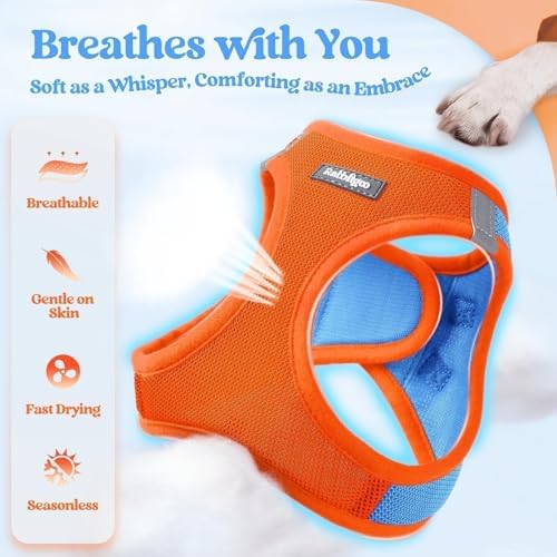 rabbitgoo Dog Harness Medium Sized and Leash Set, Step-in Puppy Pet Vest - Image 4