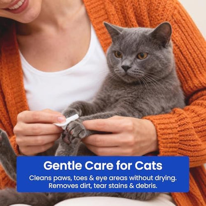 2% Chlorhexidine Wipes for Dogs & Cats Pet Skin Care - Image 5