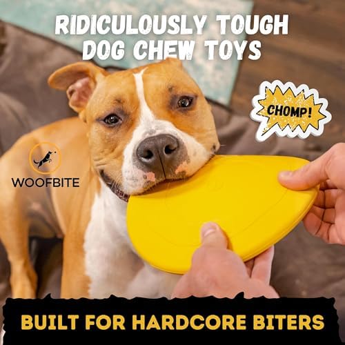 "Indestructible Dog Disc - Lifetime Replacement - Medium & Large Breed - Ultra Durable for Aggressive Chewers - Tough & Strong, Heavy Duty Natural Rubber Toy - Fetch, Tug, & Chew - 8in - Image 3
