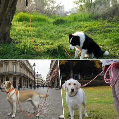 Long Dog Training Leash，Heavy Duty Reflective Rope Lead for Small Medium Large Dogs ，6FT 10FT 15FT 30FT 50FT for Training, Walking, Backyard, Camping - Image 6