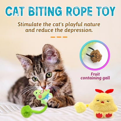 Andiker Catnip Toys, Cat Interactive Toys with Silvervine Fruit & Spring & Fuzzy Ball for Relaxing Playing, Plush Cat Teething Toys for Indoor Kitten for Cleaning Teething (Green Frog) - Image 4