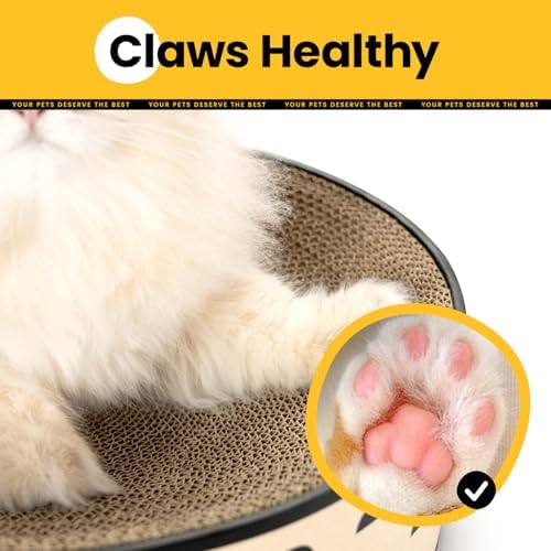 Conlun Oval Cat Scratcher Bed | Scratching Bowl Lounge for Kittens | Medium - Image 4