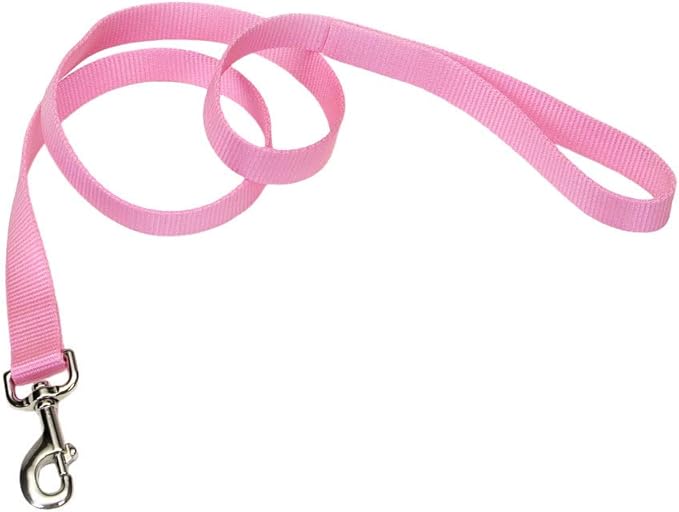 Coastal Pet Single-Ply Dog Leash - Sturdy Pet Leash - Comfortable & Stylish - Resists Fraying - Vibrant & Fade-Resistant Color - Pink Bright, 3/4" x 6'
