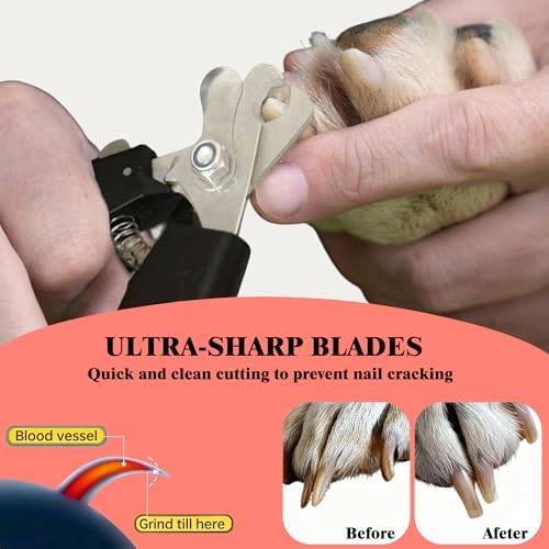 Dog Nail Clippers and Trimmers with Safety Guard for Large Dogs - Image 2