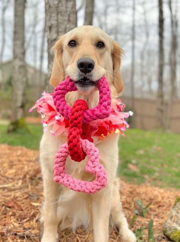 Midlee Interlocking Heart Rope Valentine Dog Toy - 6"- Pink Red Small Tug Toy