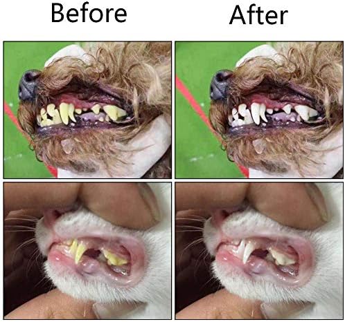 Orgrimmar 2 Pcs 3-Sided Pet Toothbrush Dog Cat Mouth Dental Teeth Care - Image 5