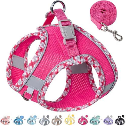 Petank Step in Dog Harness No Pull and Leash for Small Medium Dogs Cats. by Petank