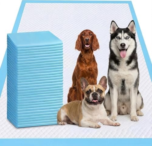 XXXXL Puppy Pee Pads for Dogs 31"x47" 40 Count, Extra Large Dog Pee Pads, Leak-Proof & Super Absorbent Dog Pee Pads, Thicken Disposable Potty Pads Puppy Training Pads for Cats Rabbits by Odorless
