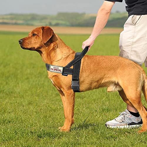 Annchwool No Pull Dog Harness with Soft Padded Handle,Reflective Strip Escape Proof and Quick Fit to Adjust Dog Harness,Easy for Training Walking for Small & Medium and Large Dog(Black,L) - Image 5