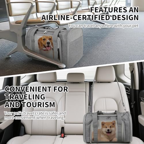 Cat Carrier, Soft-Sided Airline Approved Pet Carrier Case with 4 Ventilated Windows for Cats and Dogs Under 10-25Lbs (17.0 L x 11.0 W x 11.0 H Inch, Grey) - Image 6