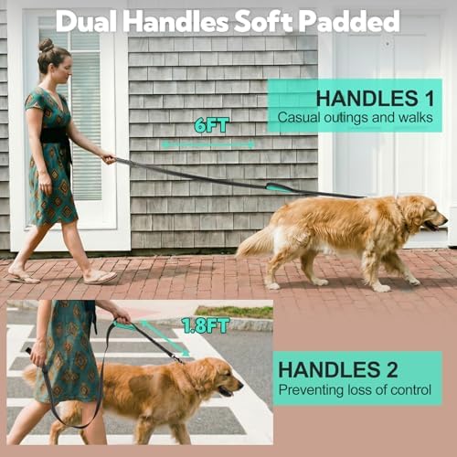 Double Handle Dog Leash 6FTX1IN, Heavy Duty Leash with Reflective, Black - Image 2