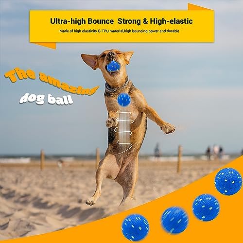 Dog Balls Toys for Aggressive Chewers(2 Pack) - Image 4