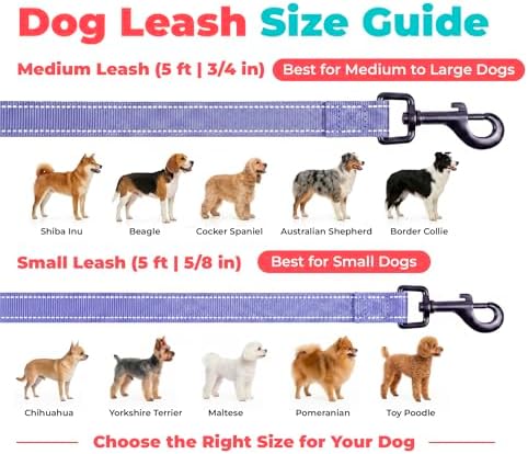 Best Pet Supplies Voyager Nylon Dog Leash - Lavender, Medium - Image 6
