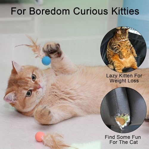 Cat Toy Ball with Feathered Tail for Indoor Cats, 3-Pack - Image 2