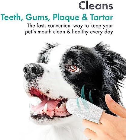 Petkin Fingertip Tooth Wipes for Dogs and Cats, 50 Finger Wipes - Slip-On, Snug Fit, Micro-Bristle Fabric - Cleans Teeth, Gums, Plaque & Tartar - Convenient, Ideal for Home and Travel - Fresh Mint - Image 3