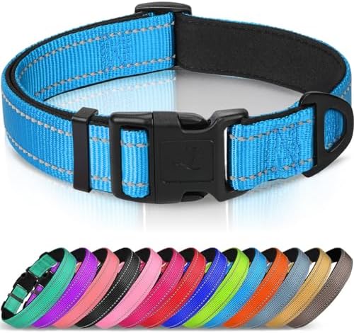 Joytale Reflective Dog Collar, Adjustable Neoprene Padded, Sky Blue S by Joytale