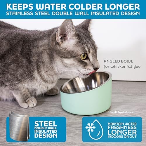 Master Pet Supply Stainless Steel Slanted Dog Cat Food Bowl 8 oz Crimson - Image 4