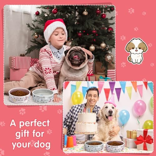 Maxcheck 2 Pcs 5 Inch Ceramic Dog Bowls Dishes for Small Dogs, Pink, Gray - Image 6