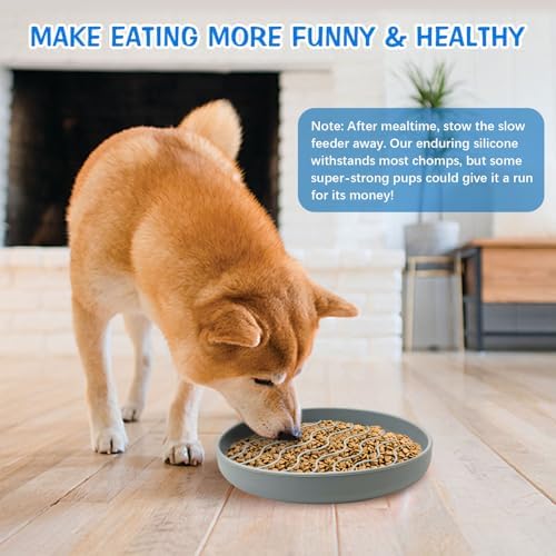 Fhiny Slow Feeder Dog Bowl, Silicone Dog Puzzle Bowl Slow Feeder Puppy Bowls Slow Eating Modern Lick Mat Design Dishwasher Microwave Fit for Fast Eaters, All Small Medium Dogs Puppy Doggy (Grey) - Image 4