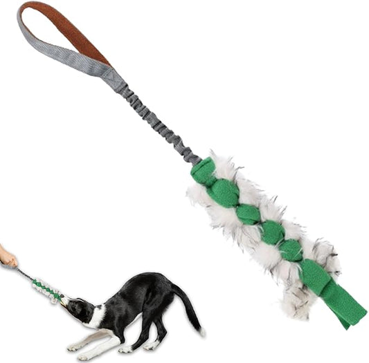 ETIAL Interactive Dog Tug of War Toy, Puppy Training Pull Toy with Bungee Rope for Exercise & Interactive Play Games, Dog Rope Toy for Small Medium Large Dogs Chase and Tug (Green)