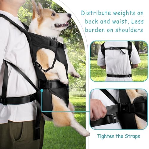 PetBonus Dog Front Carrier Backpacks, Legs Out Easy-fit Puppy Chest Carrier - Image 3