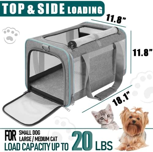 GAPZER Large Cat Carrier Soft, Collapsible Travel Pet Carry Bag, Small Dogs - Image 2