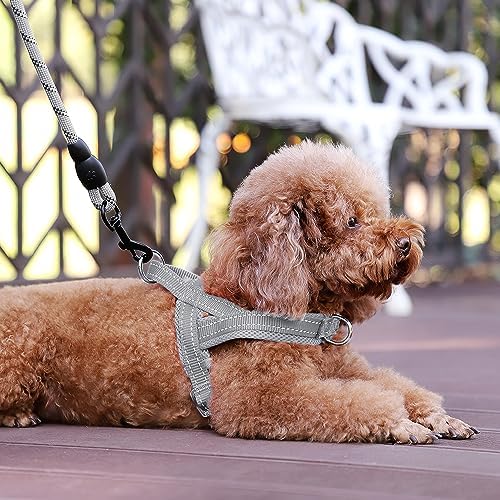 Plutus Pet No Pull Dog Harness for Puppy Small Dogs, Breathable Mesh Padded - Image 5
