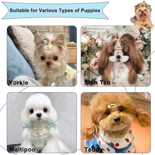 Gentle Grooming Puppy Brush with Gift Box (Gradient Color) - Image 6