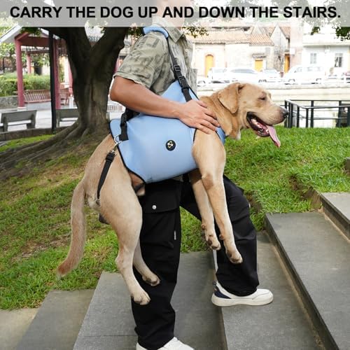 Coodeo Dog Lift Harness, Pet Support & Rehabilitation Sling Lift Adjustable Padded Breathable Straps for Old, Disabled, Joint Injuries, Arthritis, Loss of Stability Dogs Walk (Blue, L) - Image 4
