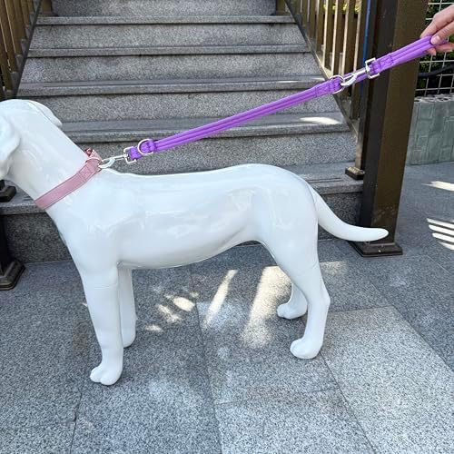 Double Ended Dog Leash,for Obedience Training Easy to Use,Lightweight,Soft for Large and Medium Dogs (Purple, 1M*2.5CM) - Image 4