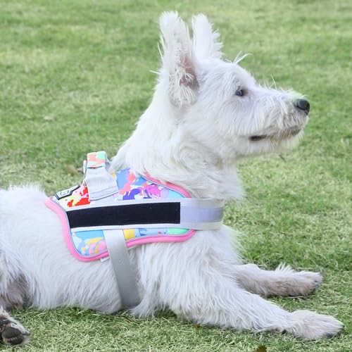 Dog Harness, No-Pull Reflective Dog Vest, Breathable Adjustable Pet Harness with Handle for Outdoor Walking - No More Pulling, Tugging or Choking (X-Large (Pack of 1), OilPainting) - Image 5