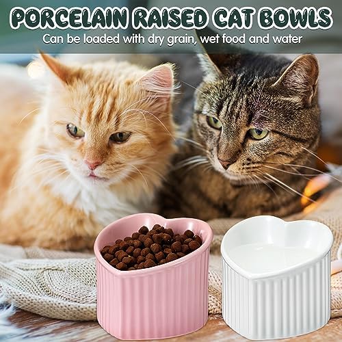 Dandat 4 Pcs Elevated Cat Food Bowls, Ceramic Raised Cat Bowls, Shallow, Less Digestion Issues, Anti Vomiting, No Stress for Food and Water Indoor Kitten - Image 4