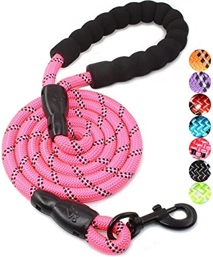 BAAPET 2/4/5/6 FT Dog Leash with Comfortable Padded Handle and Highly Reflective Threads for Small Medium and Large Dogs (5FT-1/2'', Pink) by BAAPET