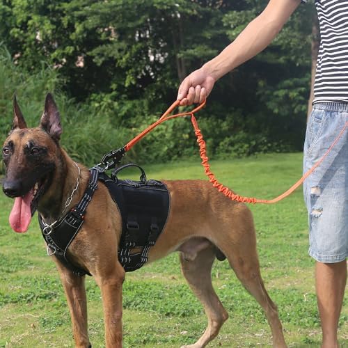 ICEFANG Tactical Dog Leash with Quick-Release Metal Clasp,Bungee-Dog Lead - Image 2
