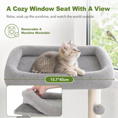 Small Cat Tree Tower for Indoor Cats, 40 in Multi-Level Cat Scratching Post - Image 2