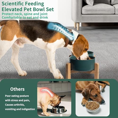 Elevated Ceramic Dog Bowl, 3.6 Cups Dog Food and Water Bowl Set with Stand - Image 4